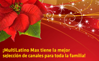 Hispanic market work